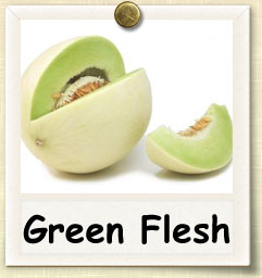 Green Flesh Honeydew Melon