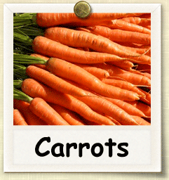 nonhybrid-carrots.gif