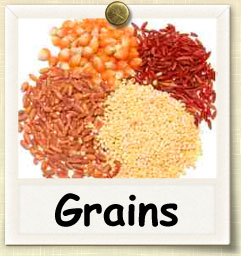 How to Sprout Grains | Guide to Sprouting Grains