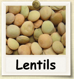 photos of lentils