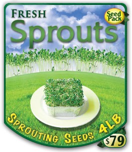 Heirloom Organic Sprouting Seeds