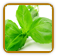 Heirloom Basil Seed | Seeds of Life