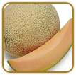 How to Grow Cantaloupe | Guide to Growing Cantaloupe