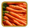 Heirloom Carrot Seed | Seeds of Life