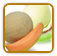 Organic Melon Seed | Seeds of Life