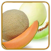 Heirloom Melon Seed | Seeds of Life