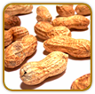 How to Grow Peanuts | Guide to Growing Peanuts