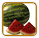 Organic Watermelon Seed | Seeds of Life