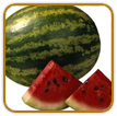 Organic Watermelon Seed | Seeds of Life